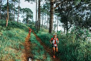 BIB: 
                            <button type="button" onclick="openModal(25652534)" class="btn btn-primary btn-sm float-right btn-popup" data-toggle="modal" data-target=".modal-high-quality">
                        <i class="fas fa-shopping-cart"></i> Add to Cart
                    </button>
                                            <button type="button" onclick="isThisMe(25652534, true)" class="btn btn-success btn-sm float-right btn-popup btn-isme hidden" data-toggle="tooltip" data-placement="bottom" title="นี่คือรูปของคุณใช่ไหม คลิกที่นี่เพื่อเอาเข้าอัลบั้ม">
                        <i class="fas fa-plus"></i> Add to album
                    </button>
                    <button type="button" onclick="isThisMe(25652534, false)" class="btn btn-warning btn-sm float-right btn-popup btn-isnotme hidden">
                        <i class="fas fa-ban"></i> Remove from album
                    </button>